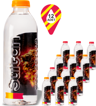 Sultan Premium Pet Floryanın Suyu 400 ML x 12