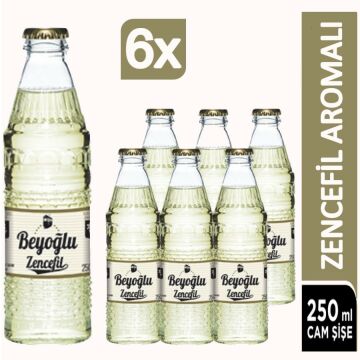 Beyoğlu Zencefilli Aromalı Gazoz 6×250 Ml