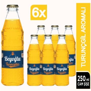 Beyoğlu Turunçgiller Meyve Aromalı Gazlı İçecek 6X250 Ml