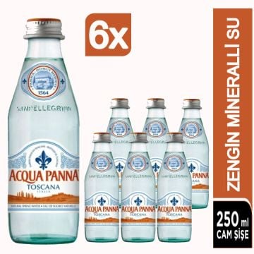 Acqua Panna Doğal Zengin Mineralli Su 6x250 ML