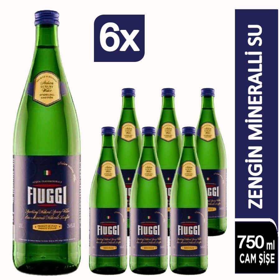 Fiuggi  Gazlı Su Cam Şişe 6x750ml