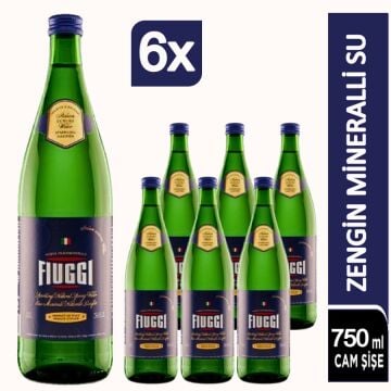 Fiuggi  Gazlı Su Cam Şişe 6x750ml