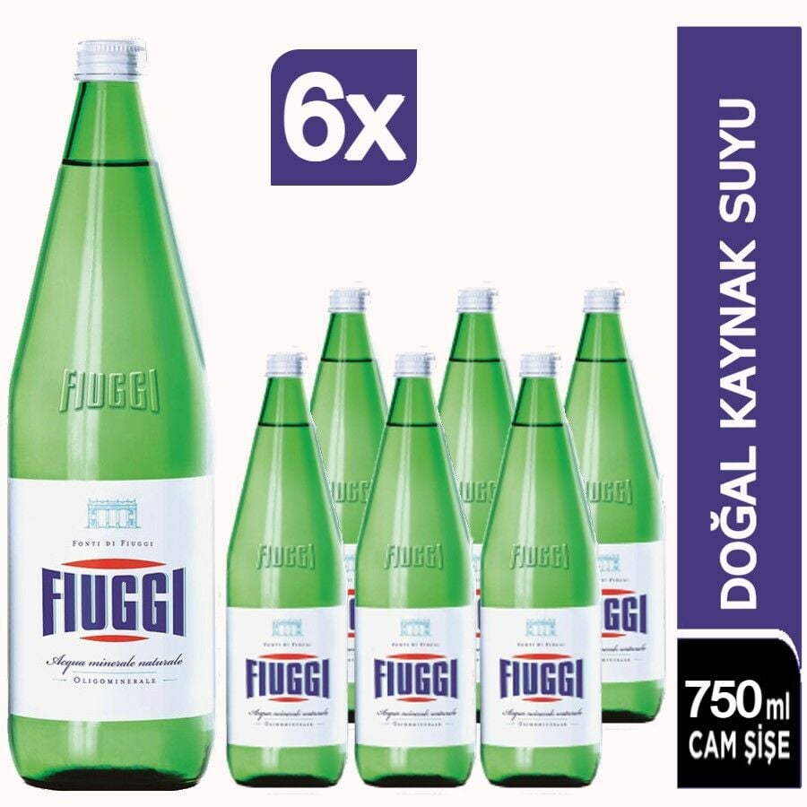 Fiuggi Doğal Kaynak Suyu Cam Şişe 6x750ml