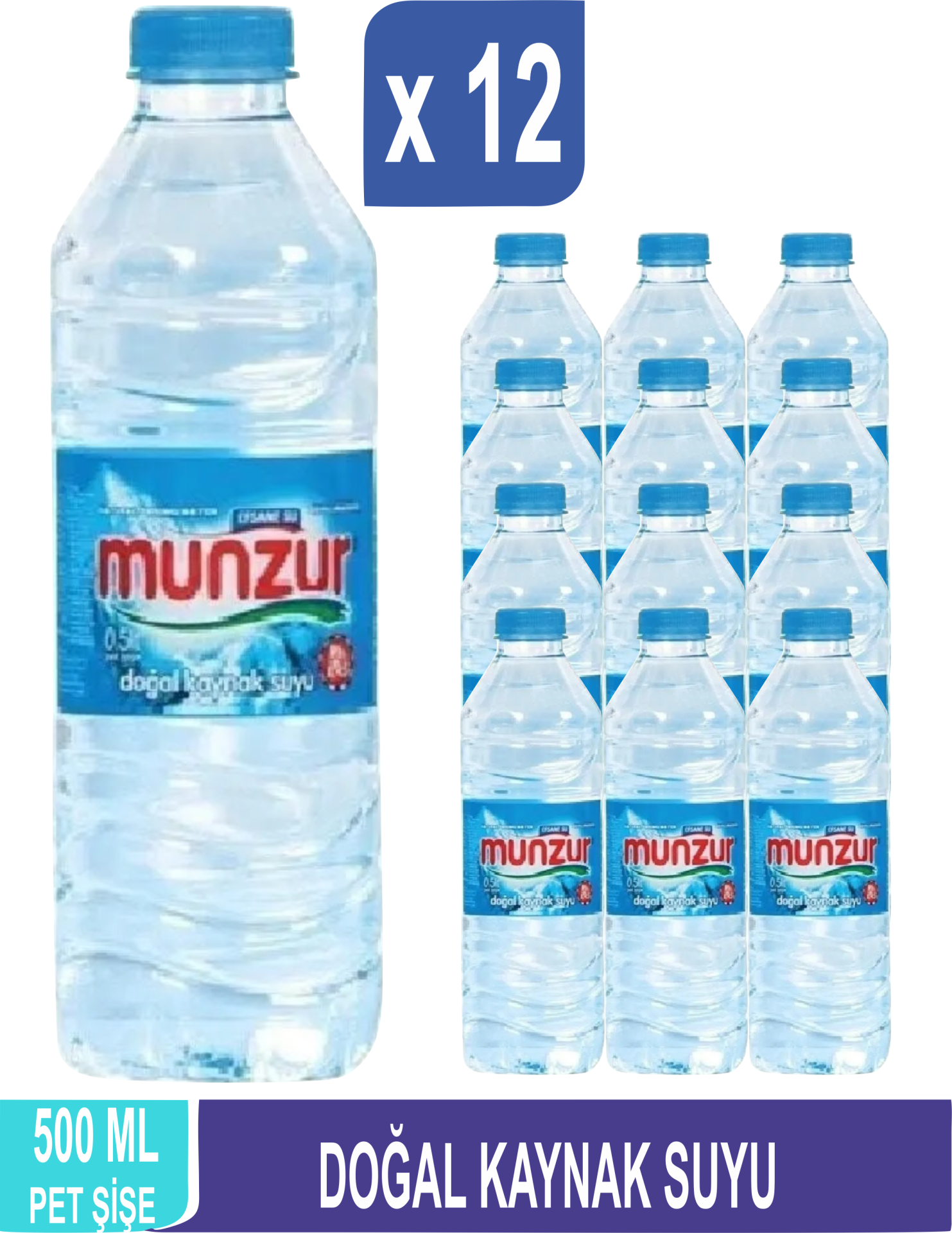 MUNZUR Doğal Kaynak Suyu 500 ML x 12