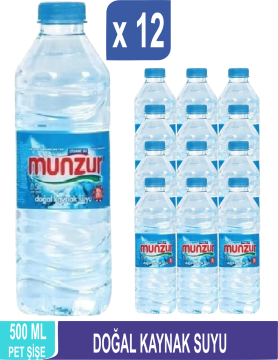 MUNZUR Doğal Kaynak Suyu 500 ML x 12
