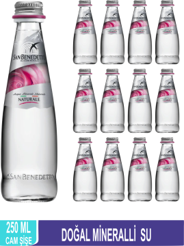 SAN BENEDETTO Doğal Mineralli Su 250 ML x 12