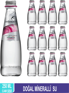 SAN BENEDETTO Doğal Mineralli Su 250 ML x 12