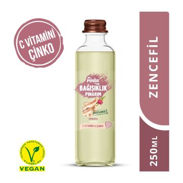 PINAR Bağışıklık Pınarım 250 ML x 6