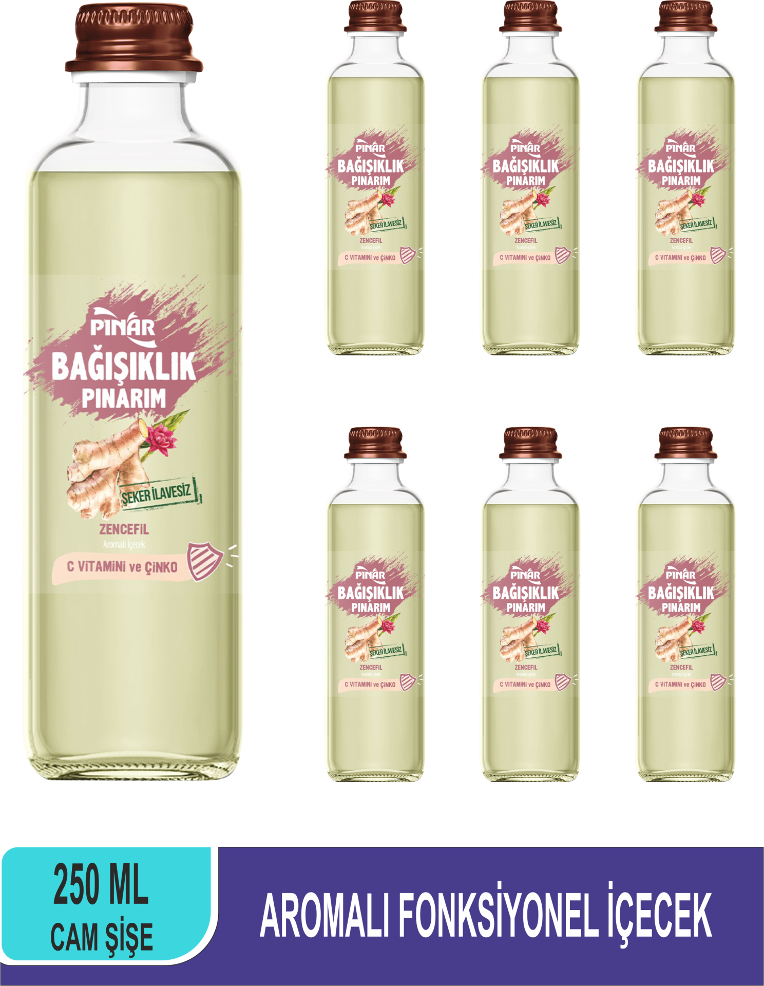PINAR Bağışıklık Pınarım 250 ML x 6