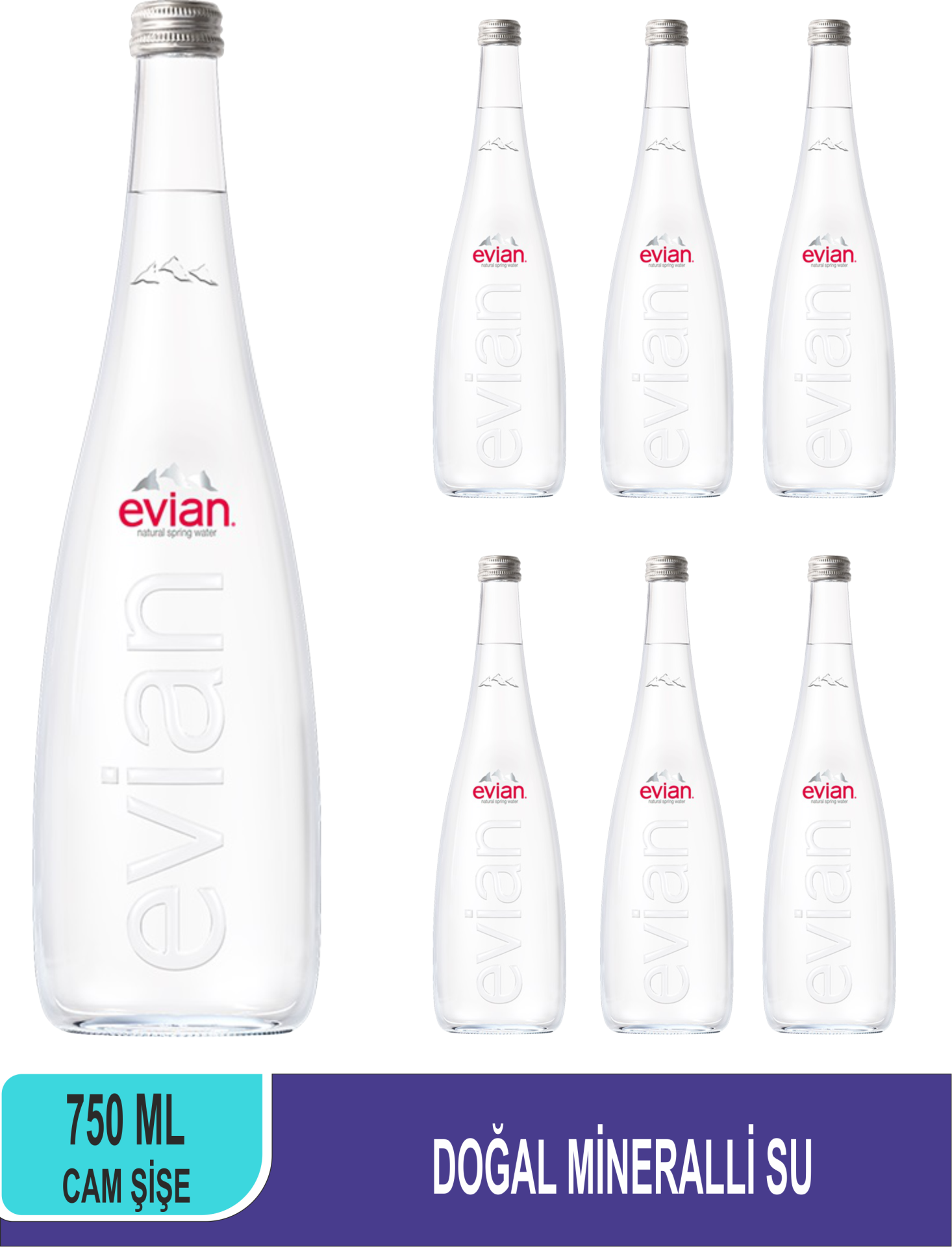 EVİAN Doğal Mineralli Su Cam Şişe 750 ML x 6
