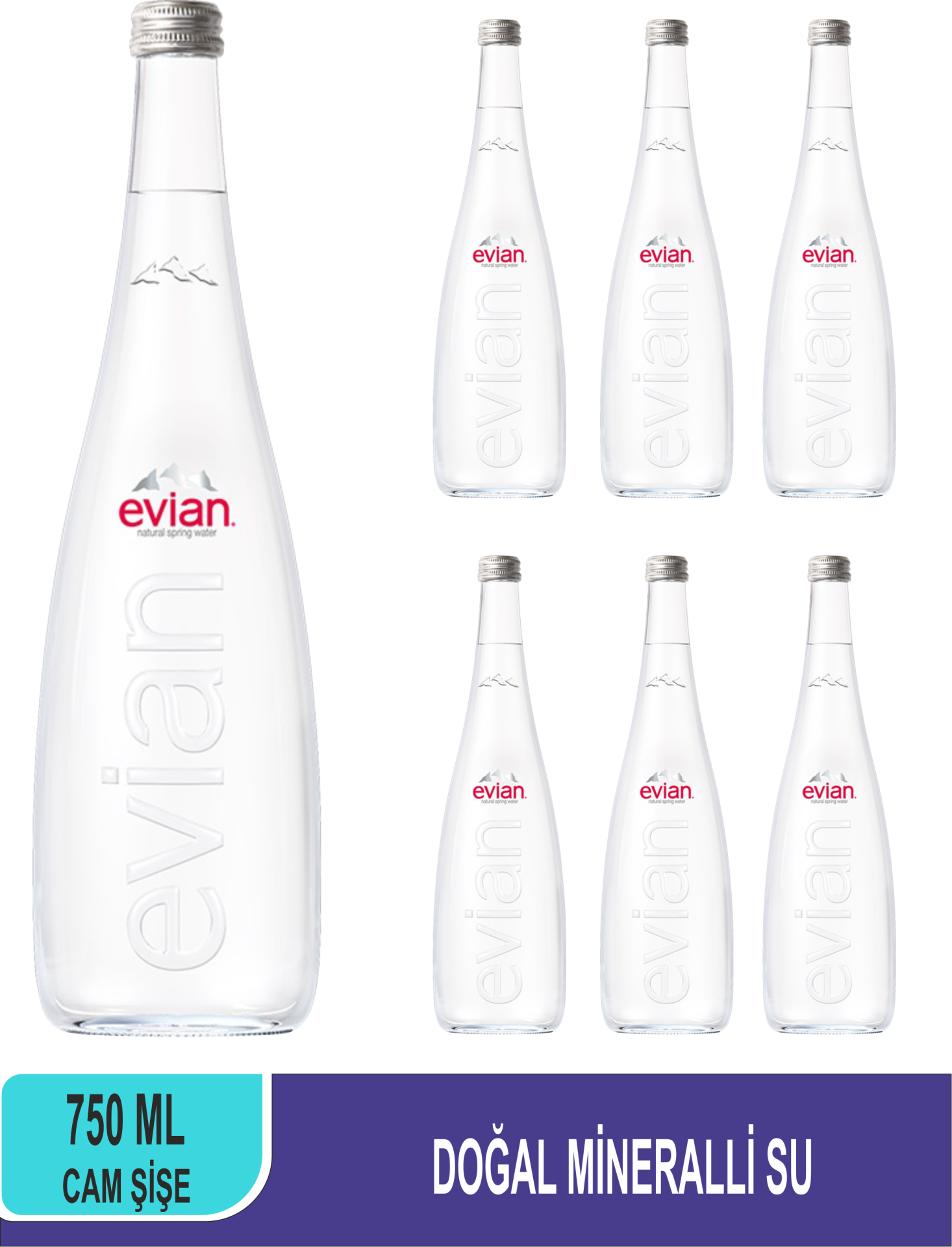 EVİAN Doğal Mineralli Su Cam Şişe 750 ML x 6