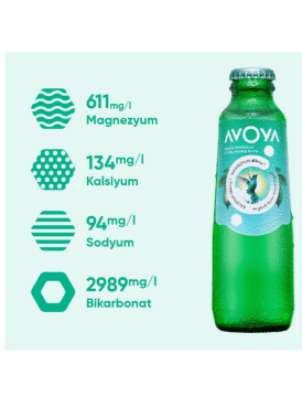 Avoya Doğal Zengin Mineralli Maden Suyu Sade 200 ML x 6