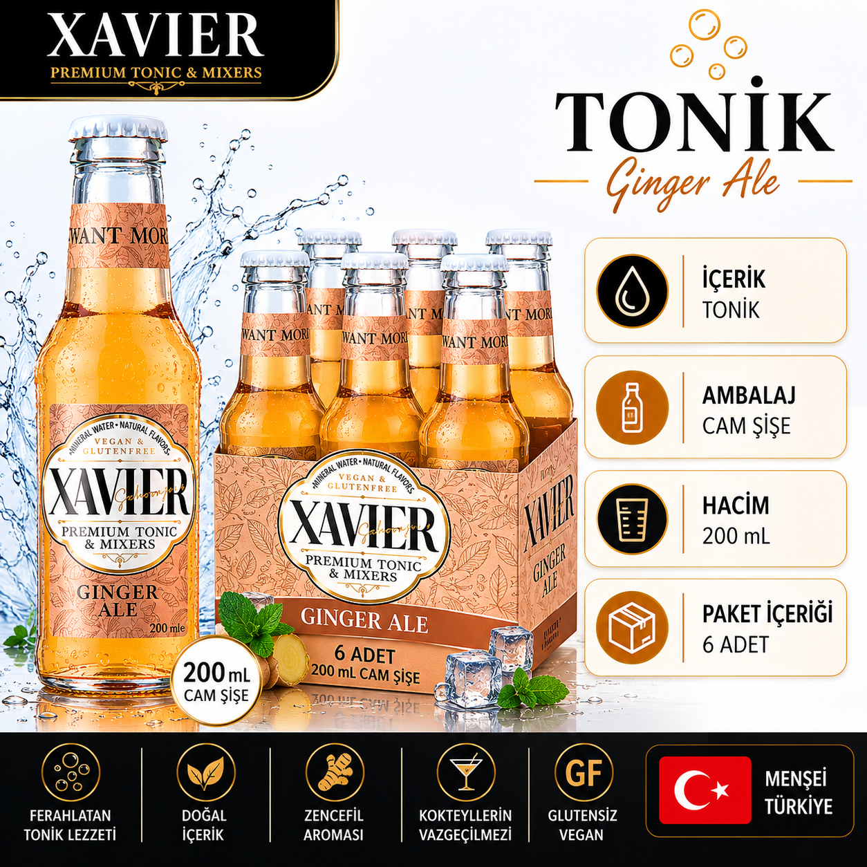 XAVIER Ginger Ale Mixer 200 ML X 6