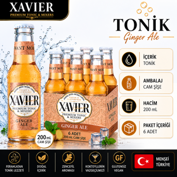 XAVIER Ginger Ale Mixer 200 ML X 6
