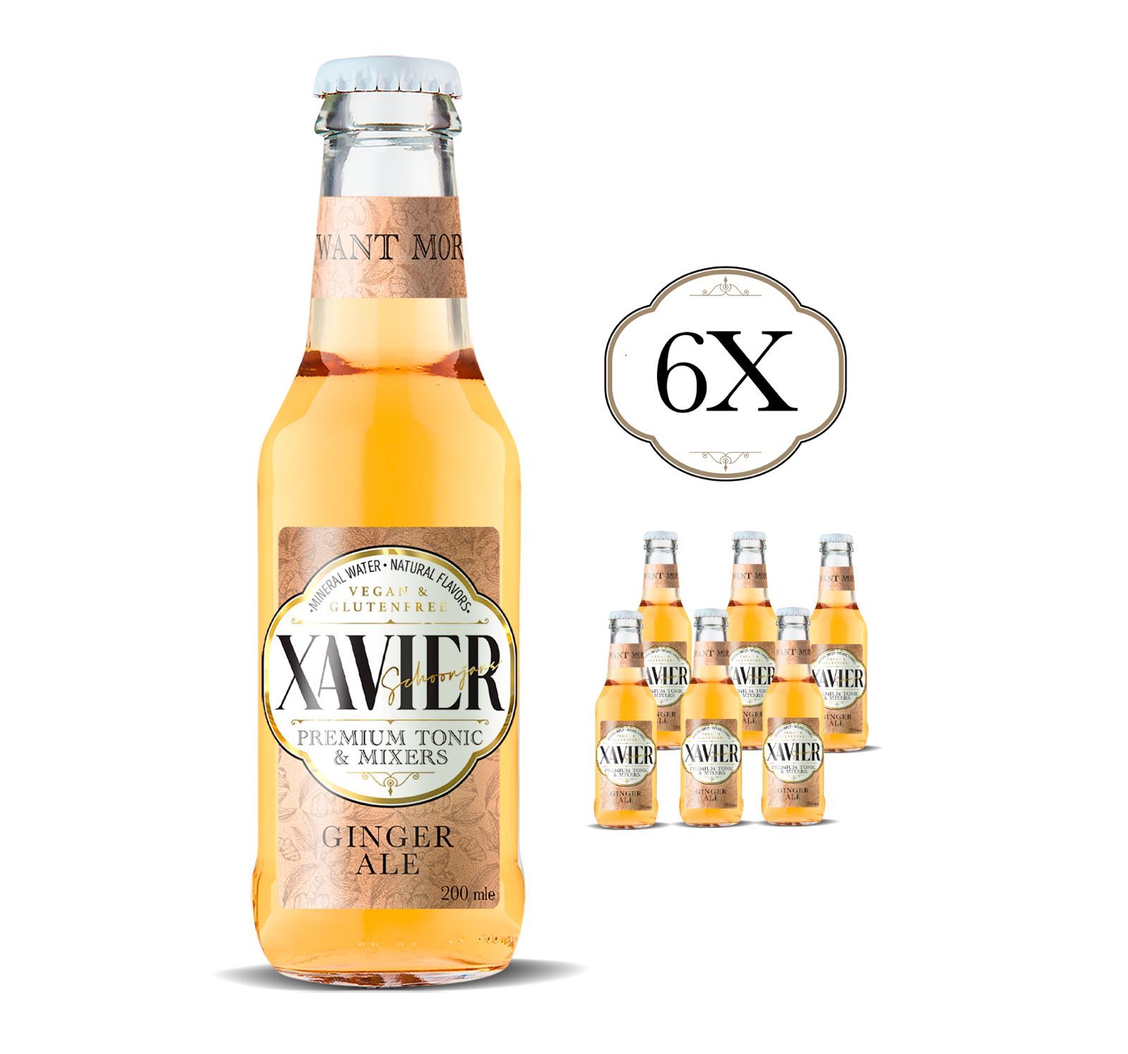 XAVIER Ginger Ale Mixer 200 ML X 6